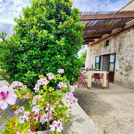 Apartamento La Rudda Di Casa Camilla Journey Specchia Exterior foto