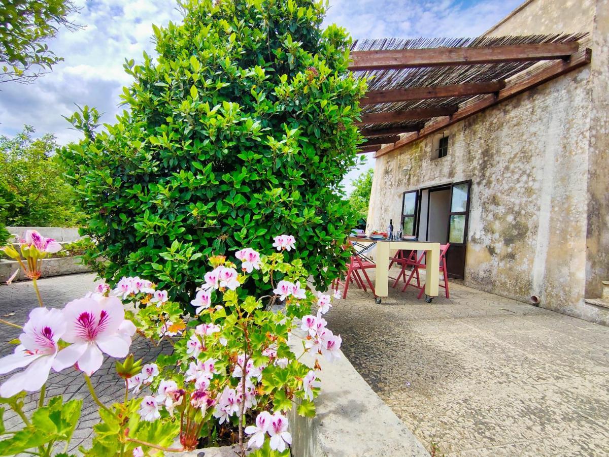 Apartamento La Rudda Di Casa Camilla Journey Specchia Exterior foto